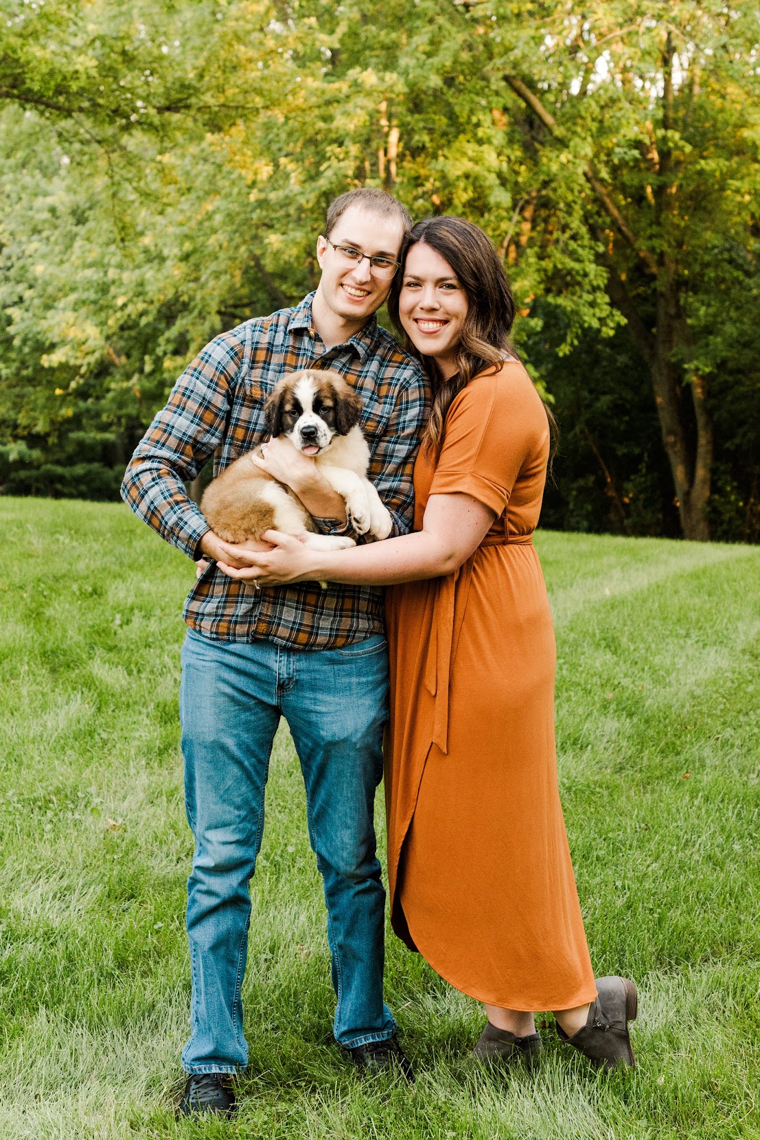 Saint Bernard Puppy Family Portrait