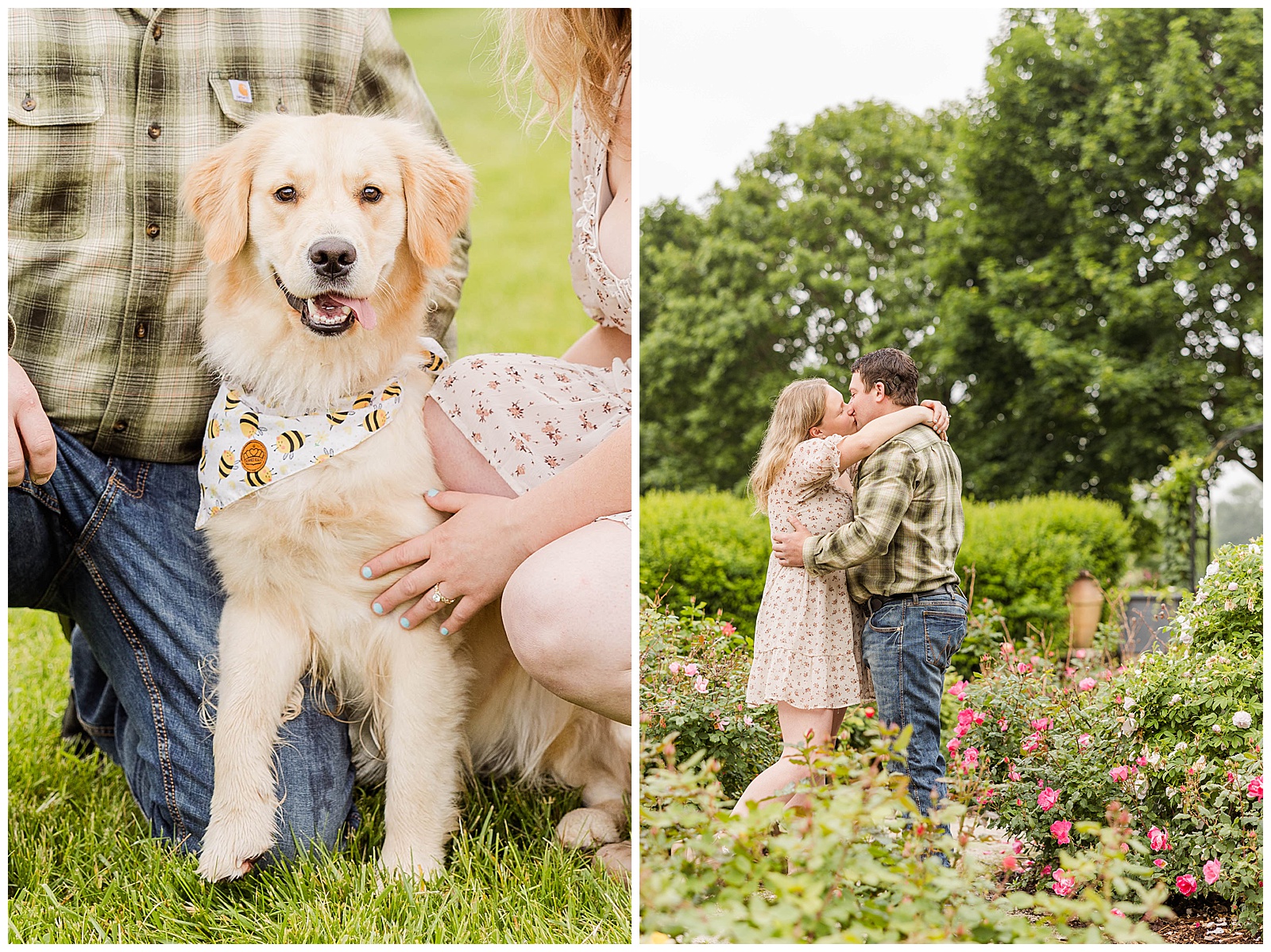 frame park engagement, couples engagement session, cute dog