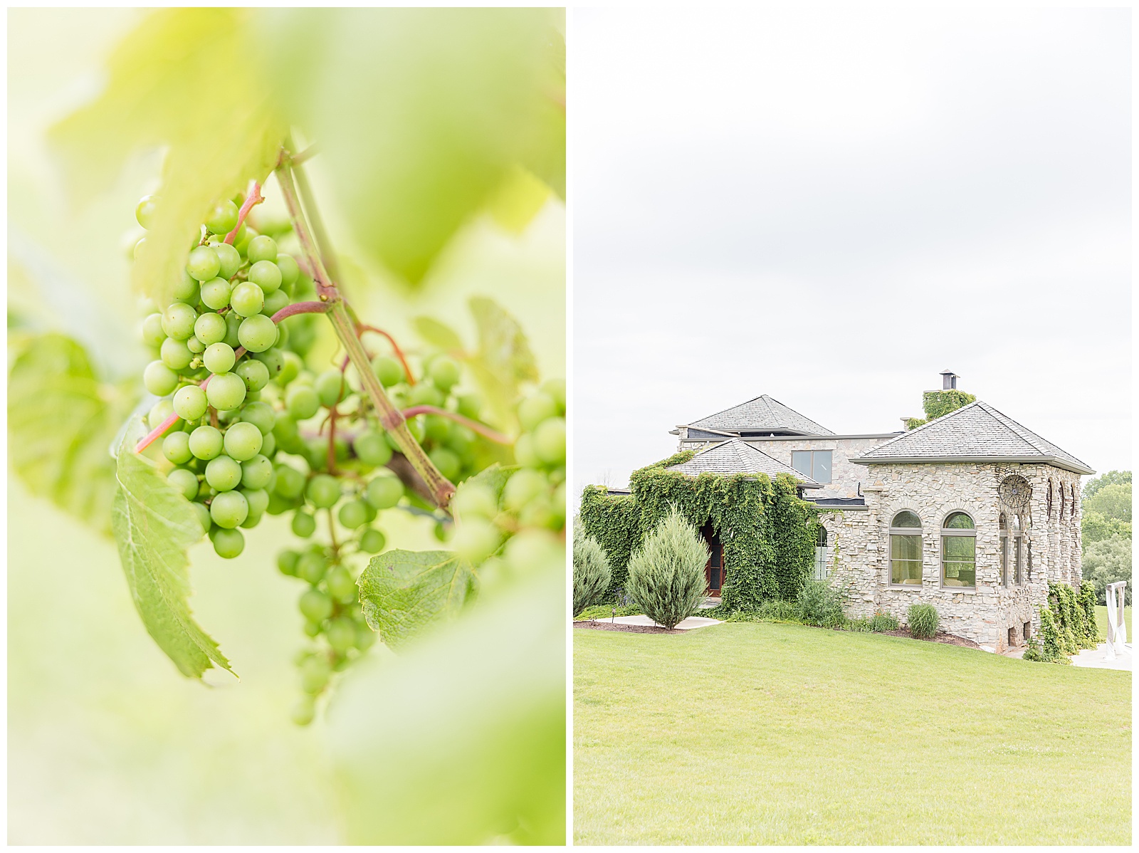Castle Vineyard Italian Style Wedding