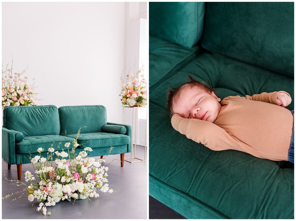 Spring Mini sessions, Studio Mini Sessions, Spring Blooms, Wisconsin Mini sessions