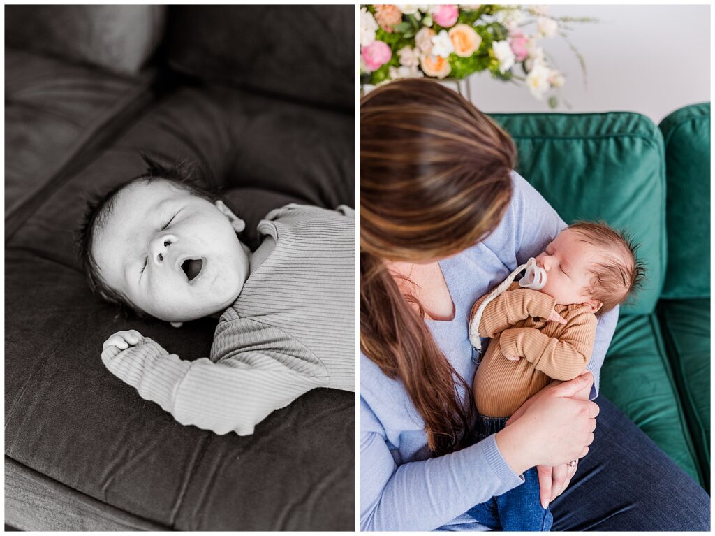 Spring Mini sessions, Studio Mini Sessions, Spring Blooms, Wisconsin Mini sessions