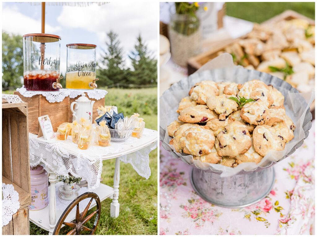 Flower Garden Teaparty, Flower Garden Party, Milwaukee Family Photographer, Oconomowoc Family Photographer 