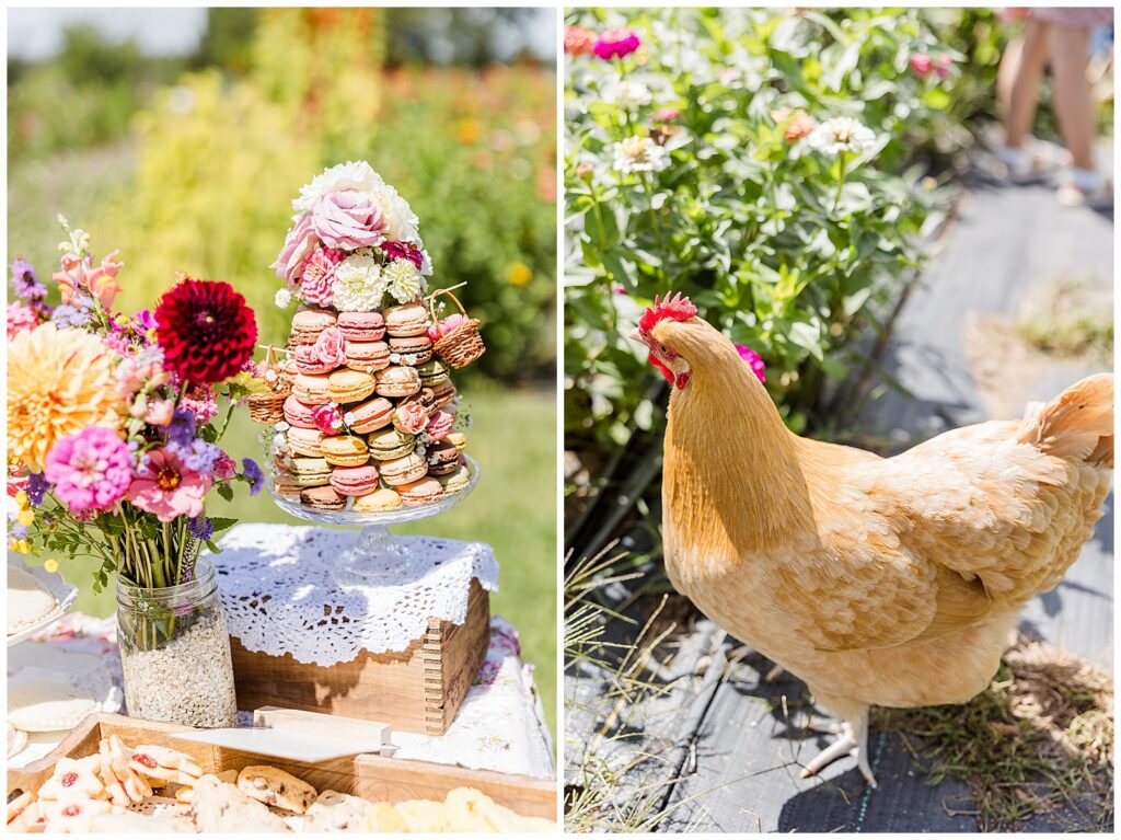 Flower Garden Teaparty, Flower Garden Party, Milwaukee Family Photographer, Oconomowoc Family Photographer, First Roots Farm
