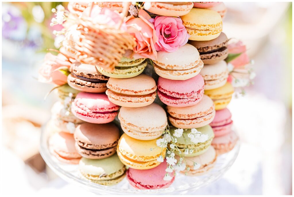 Flower Garden Teaparty, Flower Garden Party, Milwaukee Family Photographer, Oconomowoc Family Photographer 