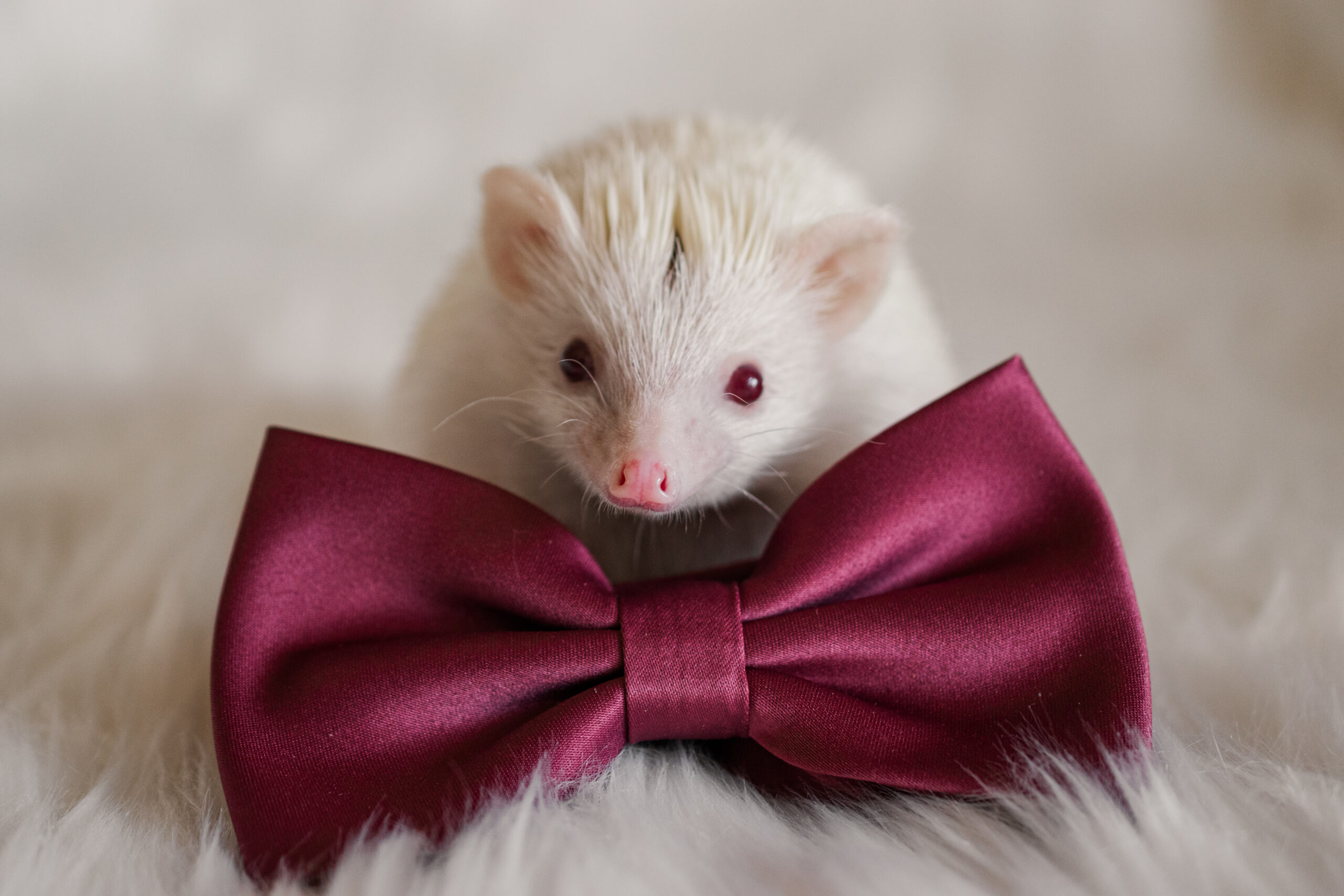 untitled 5581 2 scaled