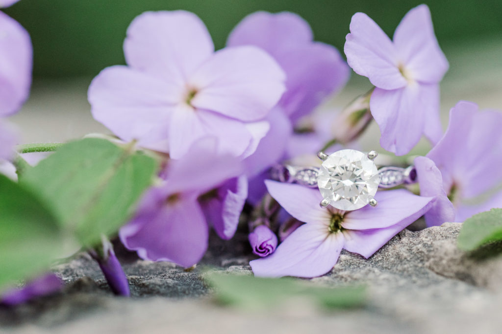 engagement ring detail picture. 