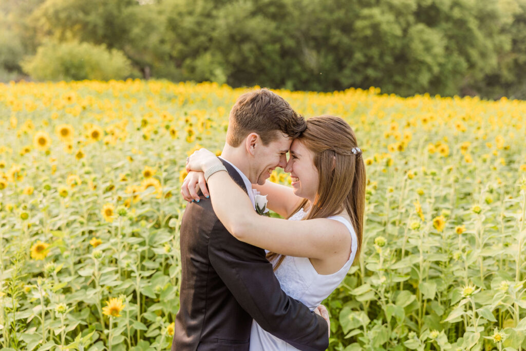 Bride and groom touching noses in a field of sunflowers during golden hour at the Bowery in Wisconsin on their wedding day.