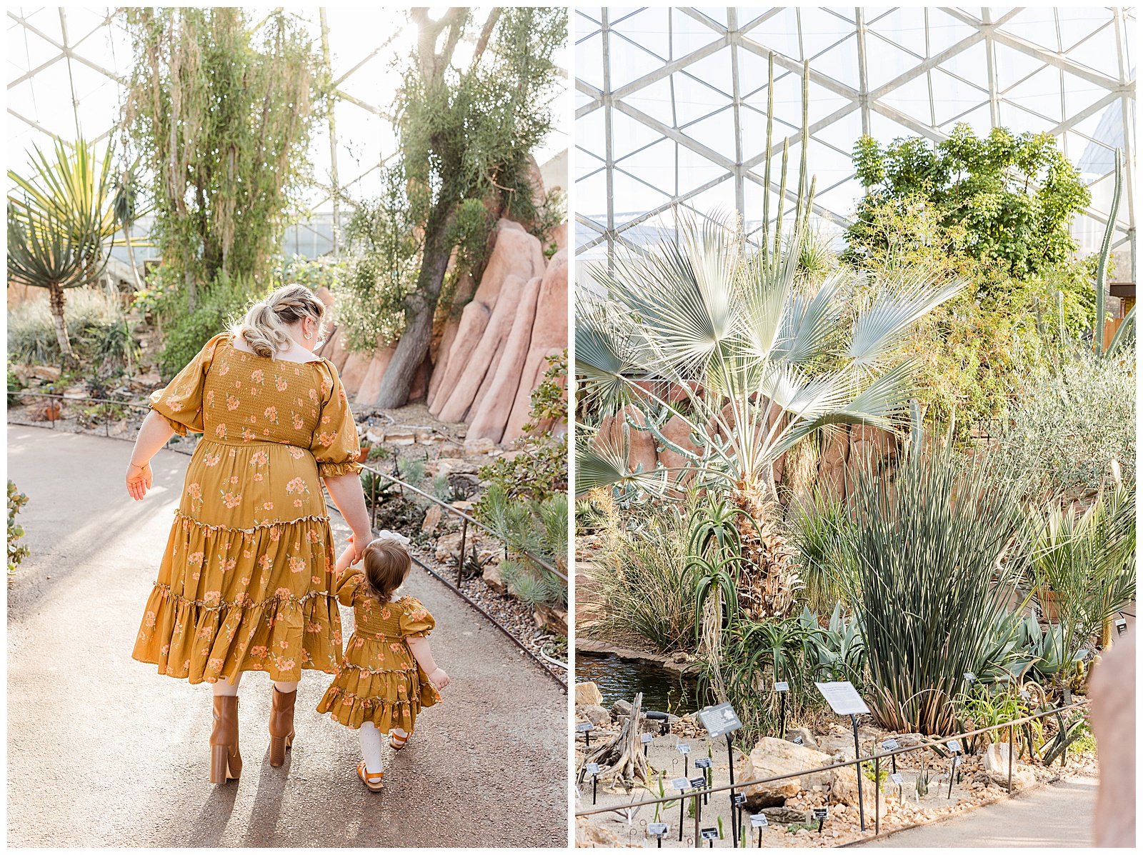 Milwaukee Domes Desert Dome